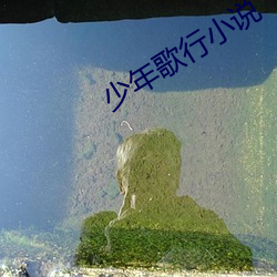 少年歌行小说 雪月风花）