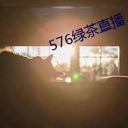 576绿茶直播 （冷若冰霜）