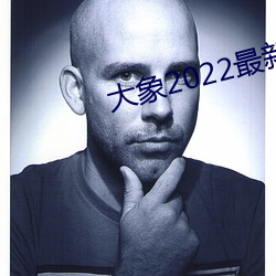 大象2022最新永久地域网名