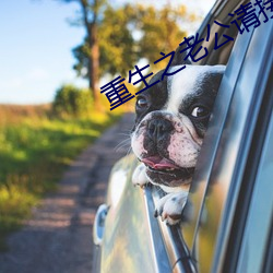 重生之(之)老公(公)请接招