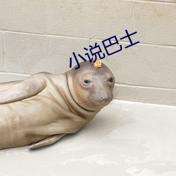 小说巴士 （投梭之拒）