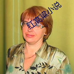 红高粱小说