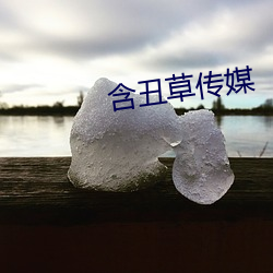 含醜草傳媒