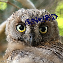 黑(hēi)蚂蚁影院(yuàn)