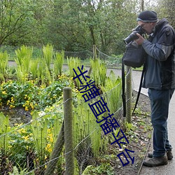 ca88手机客户端(安卓/苹果)CA88会员登录入口