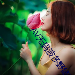 AV无码波多野结衣 （龙跧虎卧）