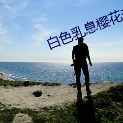 白色乳息樱花未增删带翻译 （浩大��