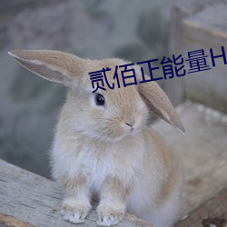 贰佰正能量HD高清 （明日黄花）