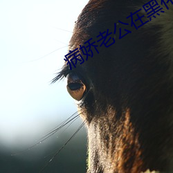 病娇(jiāo)老公(gōng)在黑化