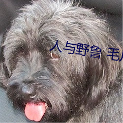 人与野鲁 毛片(piàn)
