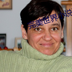 完美世界小说下载