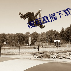 夜月直播下载的
