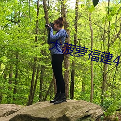 大菠萝福建404