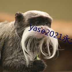 yase2021永久地址
