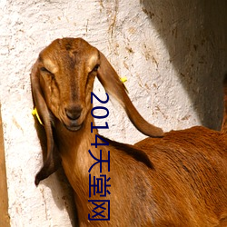 2014天堂网