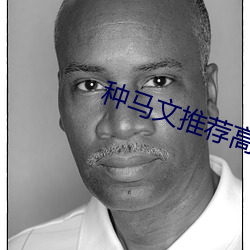 种(種)马文推(推)荐高评价(價)