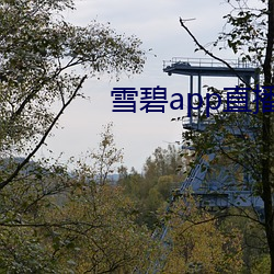 雪碧app直播真人秀