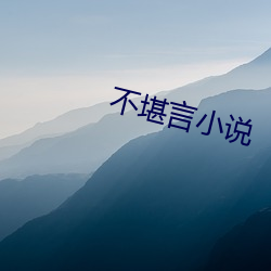不堪言小说