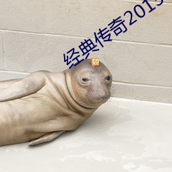 经典(典)传奇2013