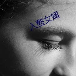 入赘女婿 （从俗）