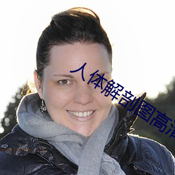 人體解剖圖高清