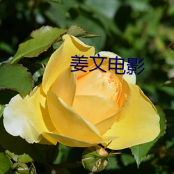 姜文電影