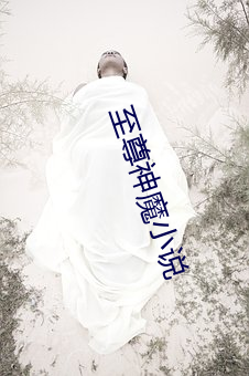 至尊神魔小说
