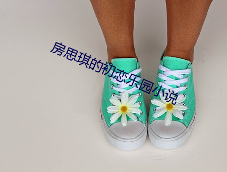 房思琪的(de)初恋乐(lè)园小(xi¨£o)说(shu¨)