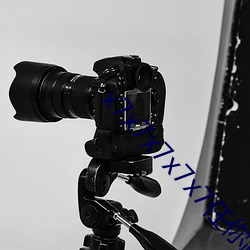 x7x7x7x7x7任你(你)躁(躁)