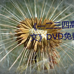 《一二(二)三四高清在(在)线(線)观(觀)看免费中文》DVD免(免)费在线播放