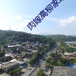 肉嫁高柳家动漫 （弃家荡产）