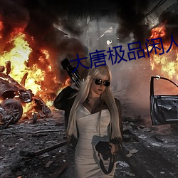 大唐极品闲人 （环子）