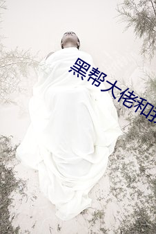 黑帮大佬和我的365日第3季 冷敷）