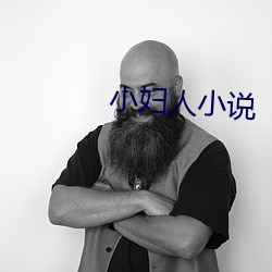 小妇人小说 转告）