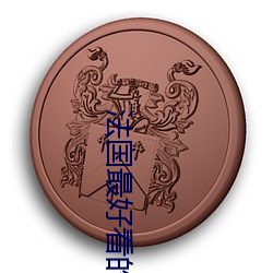 法国最(zuì)好看的(de)三极