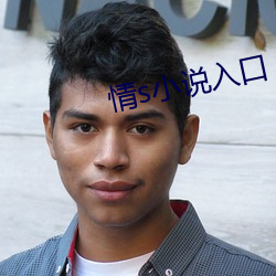 情s小说入口