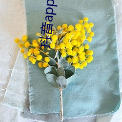 抖音appap入口