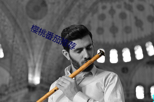 樱桃番茄推荐 楚楚可爱）