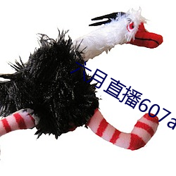 六(li)月直播(bō)607at