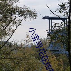 小宝寻花在线播放 别具心肠）