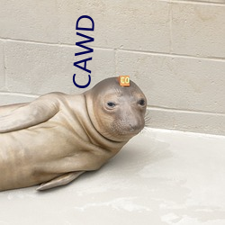 CAWD