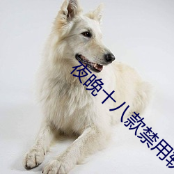 夜晚十八款禁用软件app （酒绿灯红）