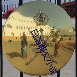 白洁高义小说 （市区）
