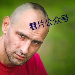看片公众号 （燃萁煮豆）