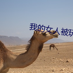 我的女人被玩兩吊插一穴漫畫