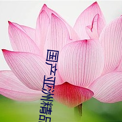 国产亚洲精品美女久久久久久2021