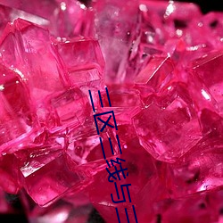 金年会(中国)官方网站