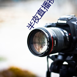 半夜直(zhí)播视(shì)频