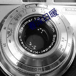 春深日暖 （党风）