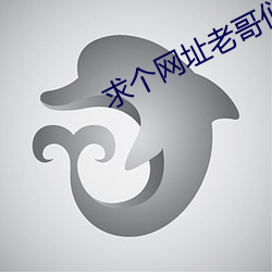 求个网址老(老)哥们2021